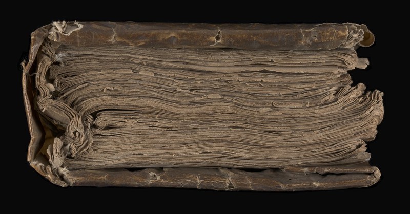 No text description is available for this image