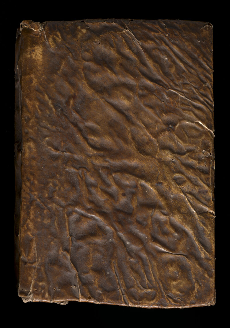 No text description is available for this image