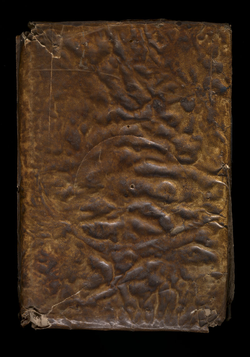 No text description is available for this image