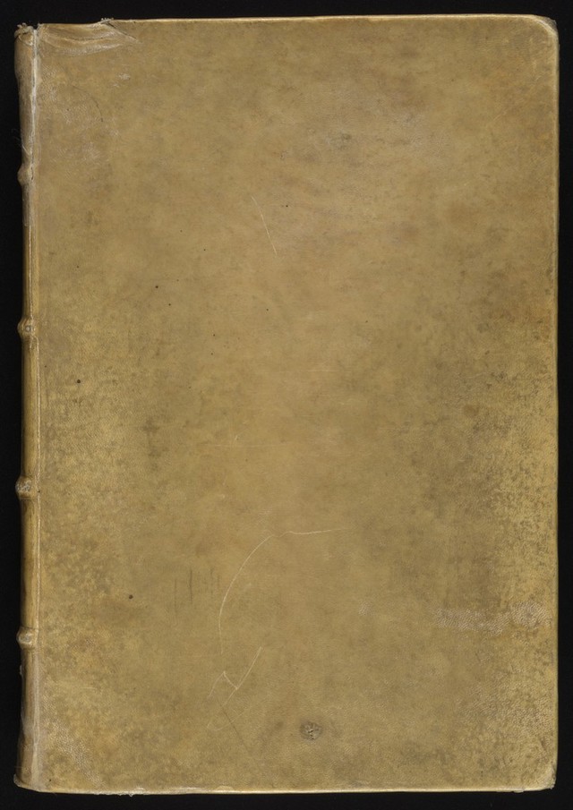 No text description is available for this image