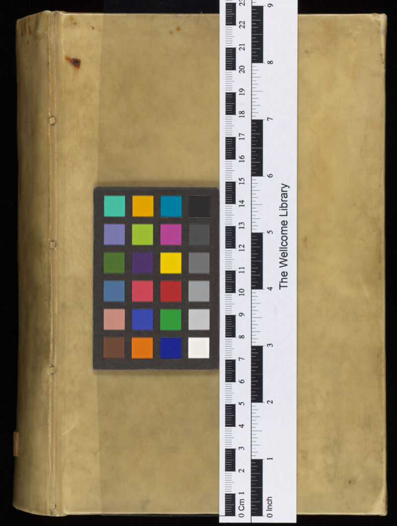 No text description is available for this image