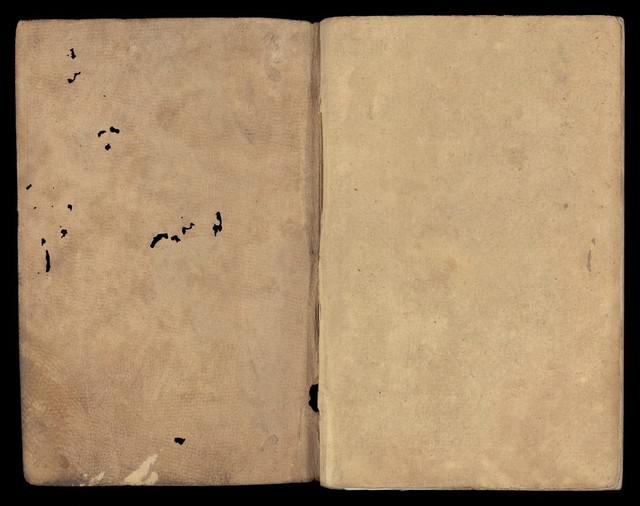 digitised image 2
