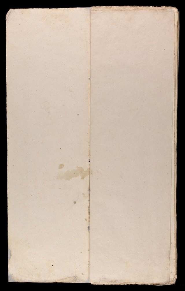 digitised image 2