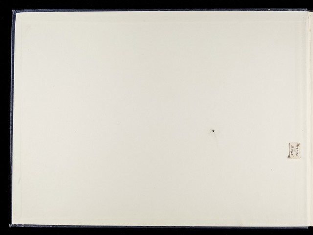 digitised image 2