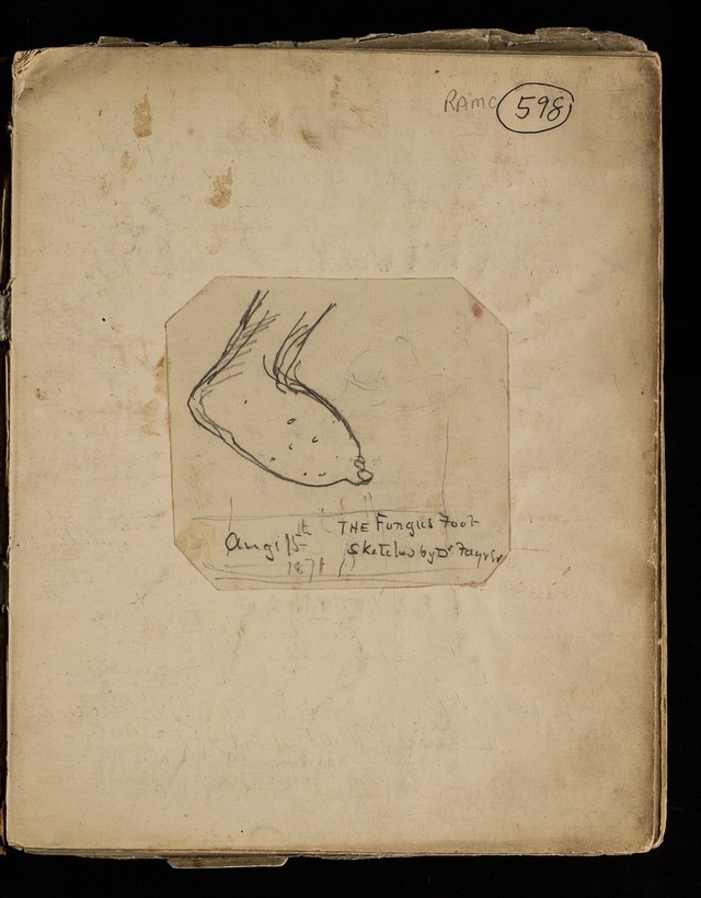 No text description is available for this image