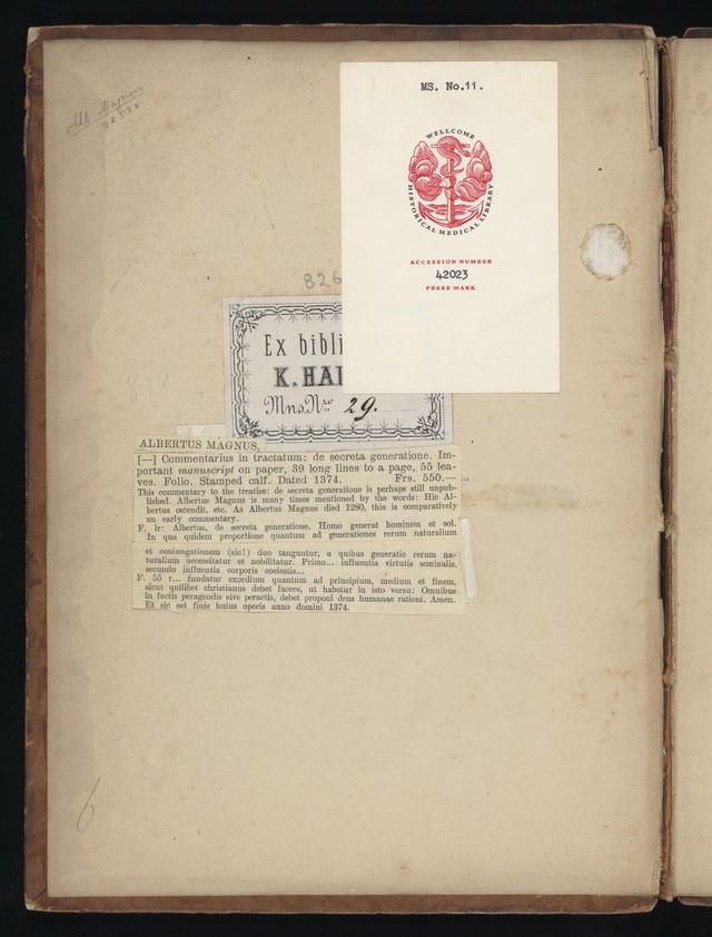 digitised image 2