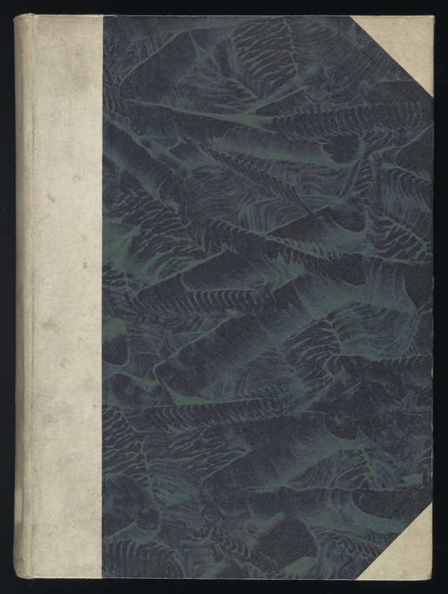 No text description is available for this image