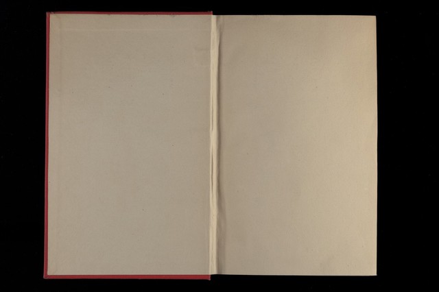 digitised image 2