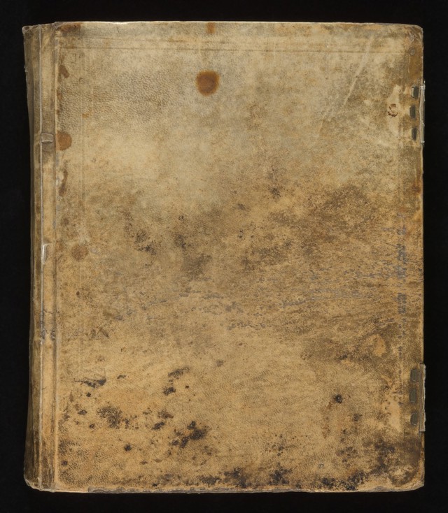 No text description is available for this image