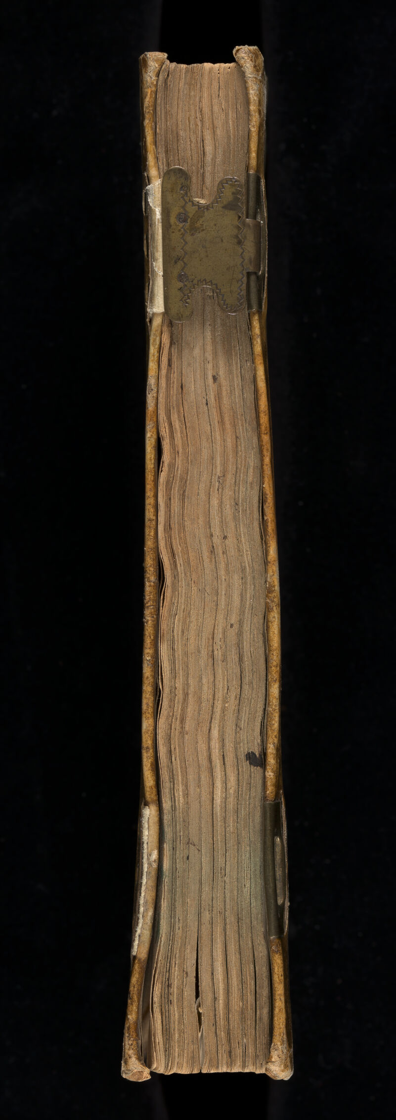 No text description is available for this image