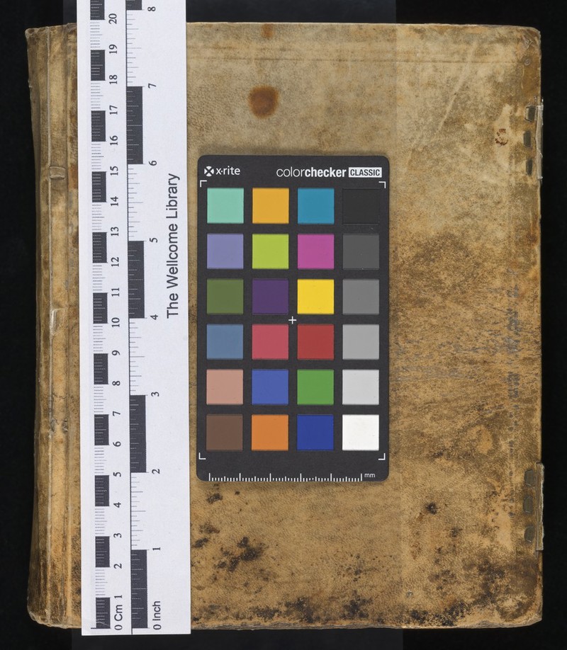 No text description is available for this image