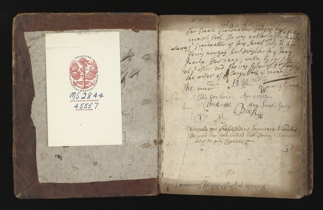 No text description is available for this image