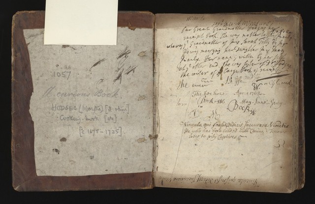 No text description is available for this image