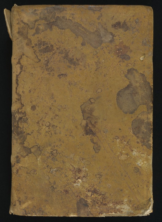 No text description is available for this image