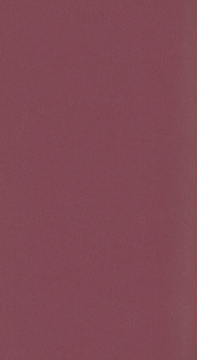 digitised image 2