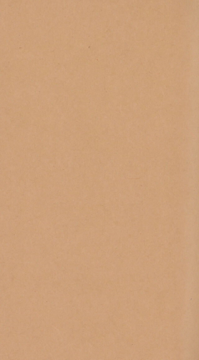digitised image 2