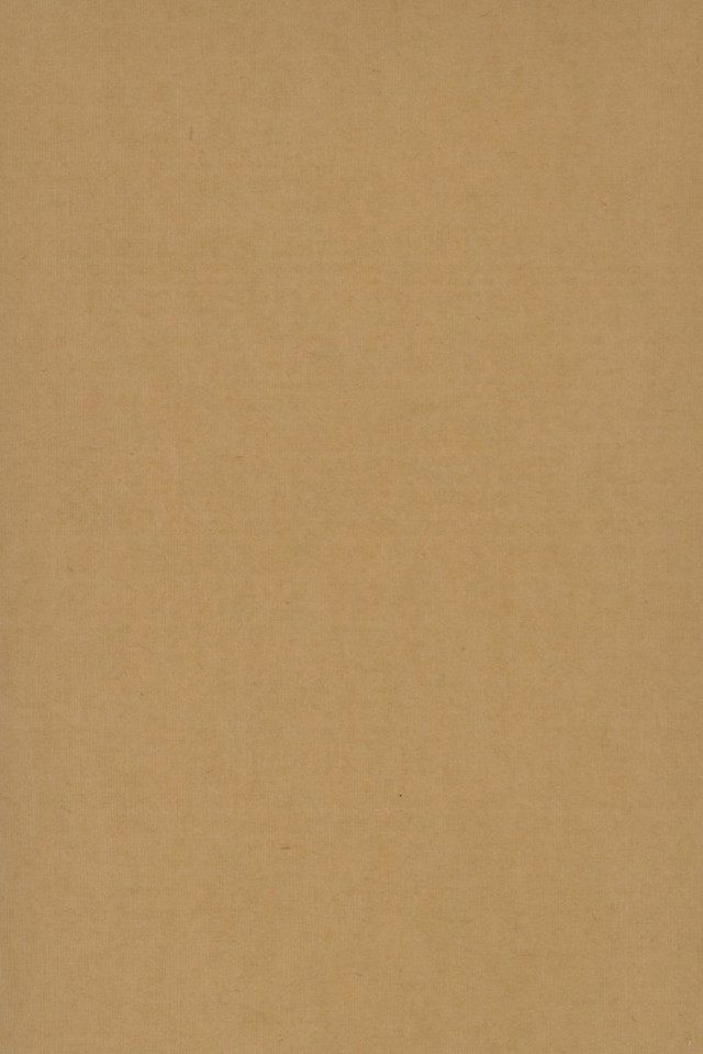 digitised image 2