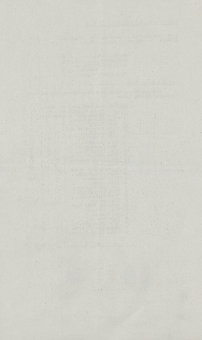 » . t. V . » • * * - • 1 ' ' . . .