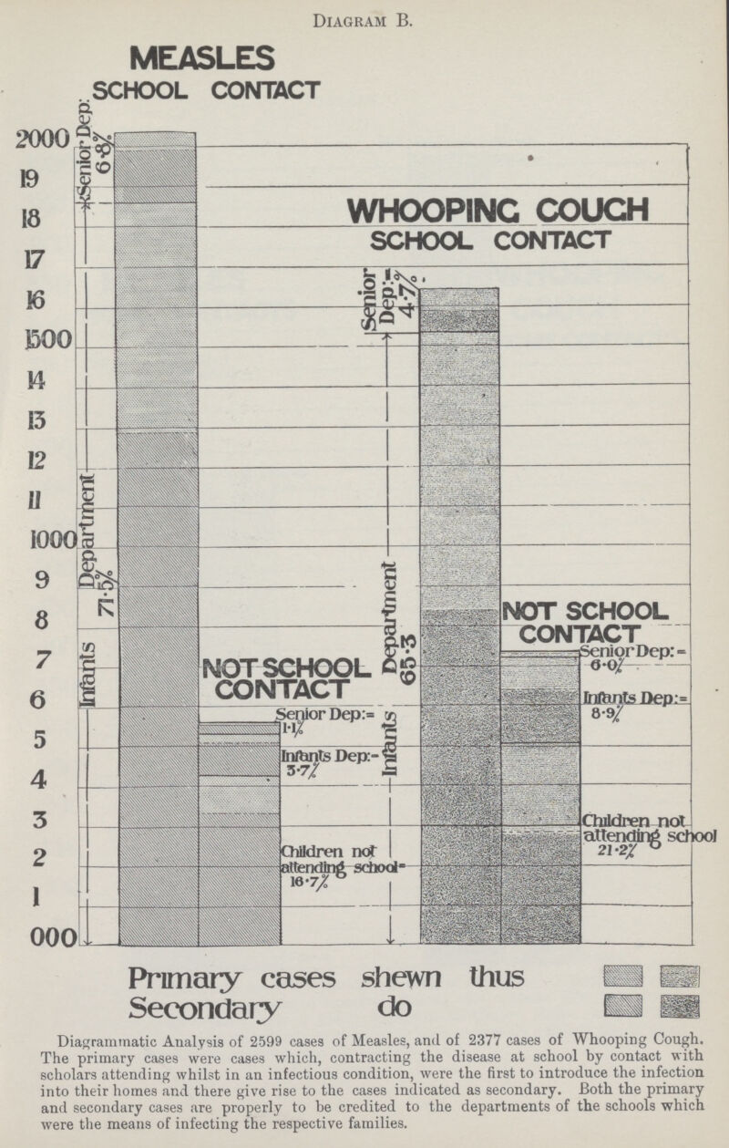 Diagram B. Diagrammatic Analysis of 2599 cases of Measles, and of 2377 cases of Whooping Cough. The primary cases were cases which, contracting the disease at school by contact with scholars attending whilst in an infectious condition, were the first to introduce the infection into their homes and there give rise to the cases indicated as secondary. Both the primary and secondary cases are properly to be credited to the departments of the schools which were the means of infecting the respective families.