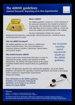 The ARRIVE guidelines : Animal Research: reporting of In Vivo Experiments / NC3Rs.