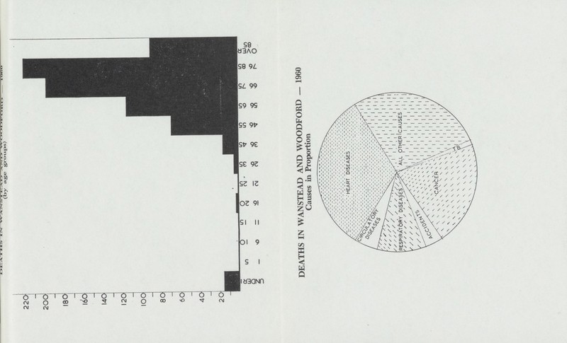 DEATHS IN WANSTEAD AND WOODFORD — 1960 Causes in Proportion