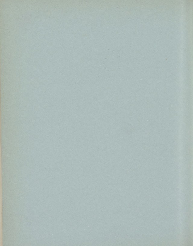 digitised image 2