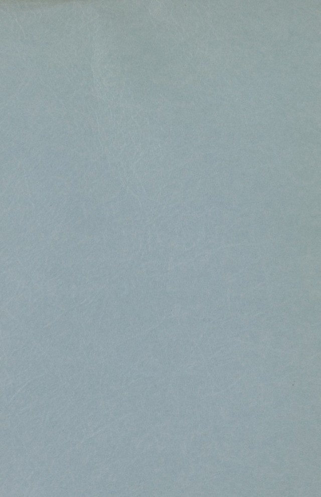 digitised image 2