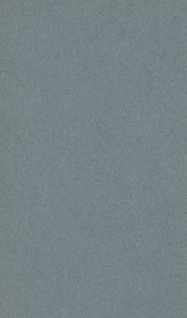 digitised image 2