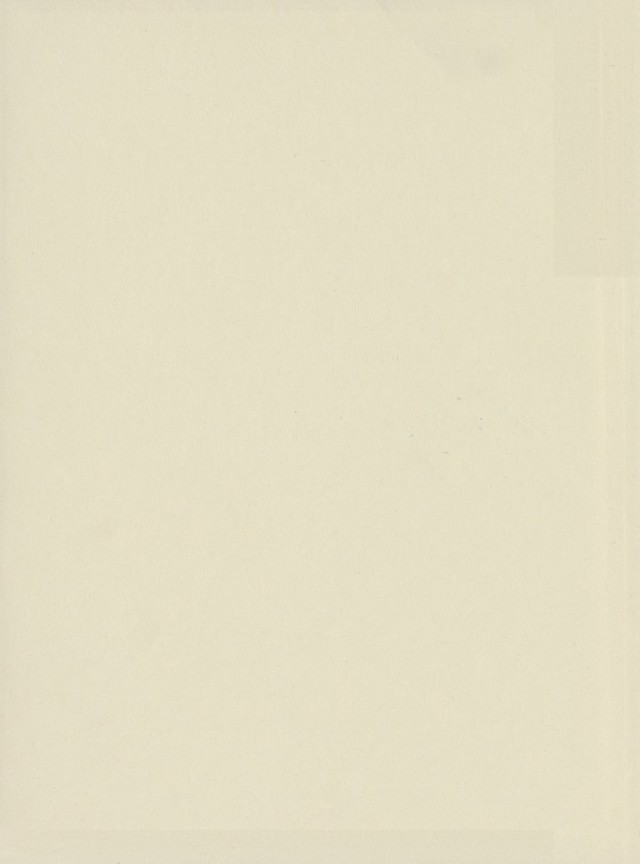 digitised image 2