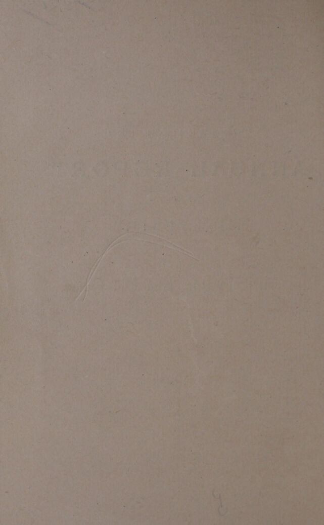 digitised image 2