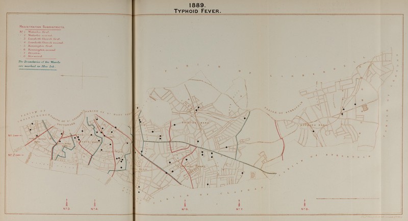 1889. Typhoid Fever.