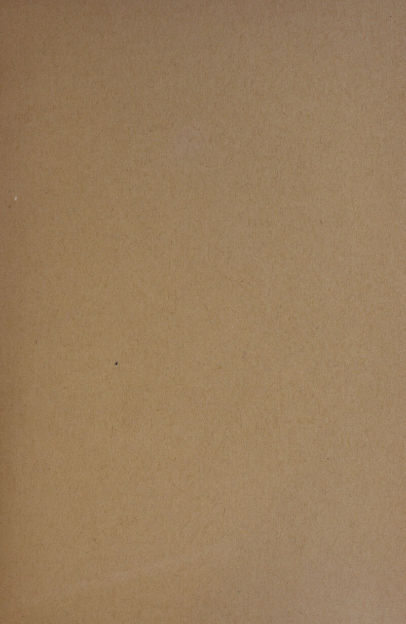 • ■' •„ : . \ ■ - - ' . ■ ■ , ' ■