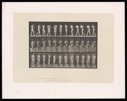 A naked woman walking. Collotype after Eadweard Muybridge, 1887.