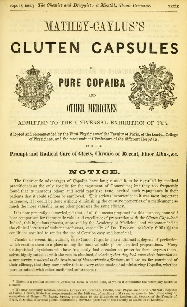 link to previous page