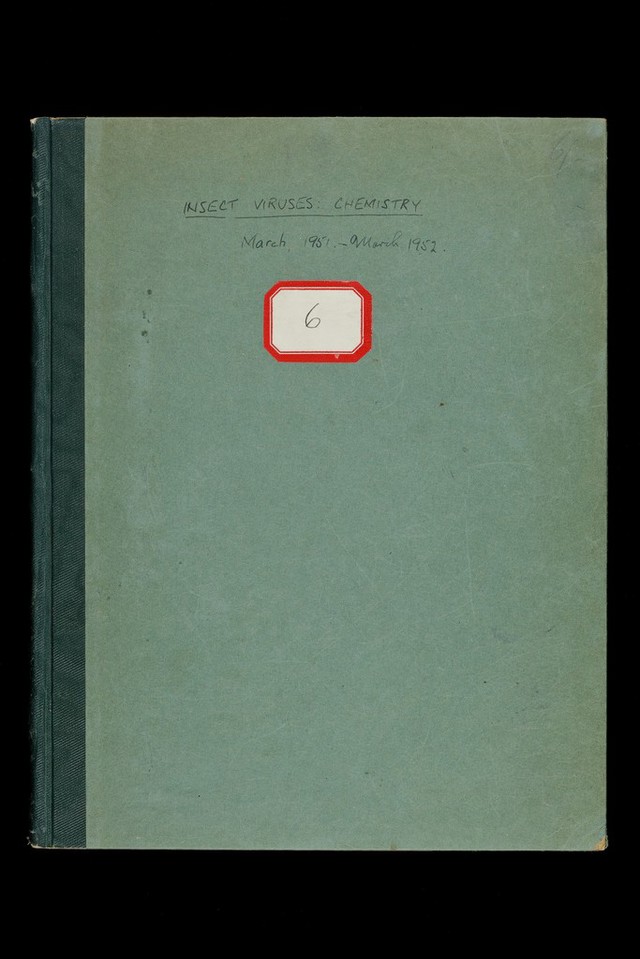 No text description is available for this image