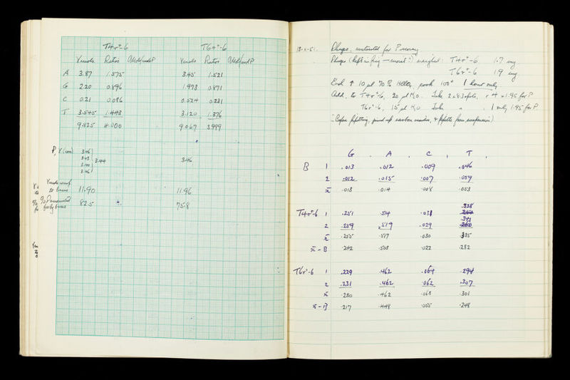 No text description is available for this image