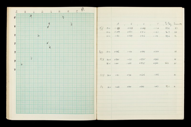 No text description is available for this image