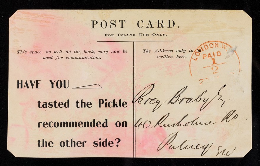 "Come and taste Burgess' "MM" : it is the nicest pickle I know of / John Burgess & Son.