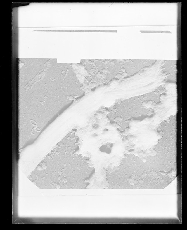digitised image 1