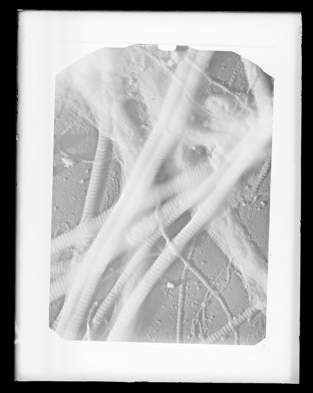 digitised image 1