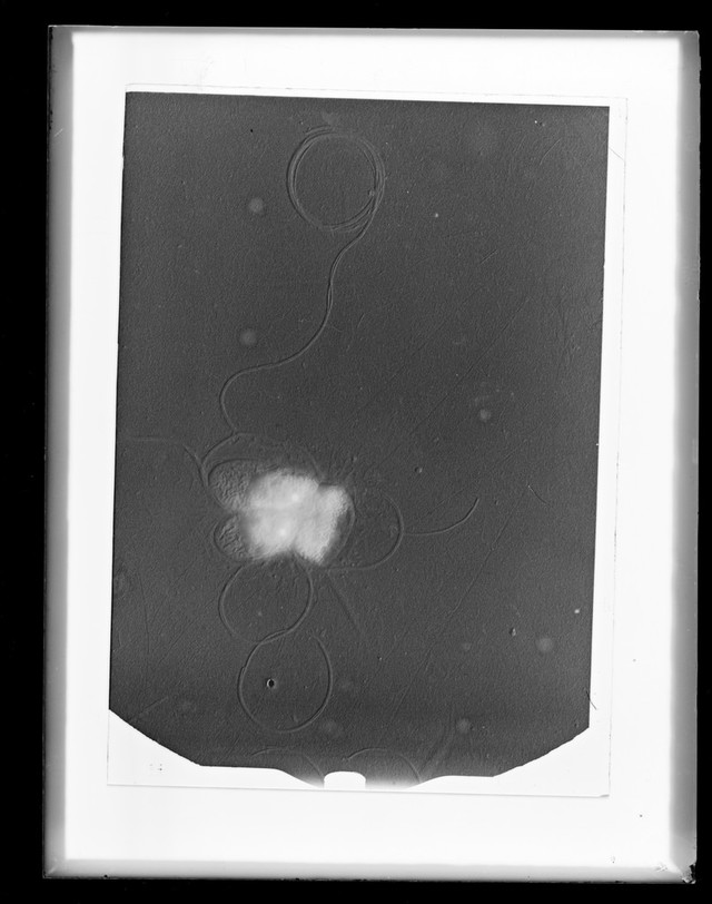 No text description is available for this image