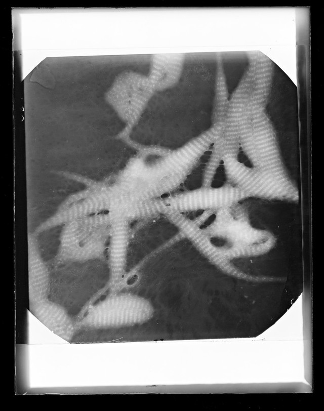 No text description is available for this image