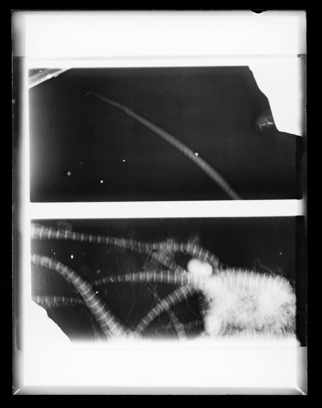 digitised image 1