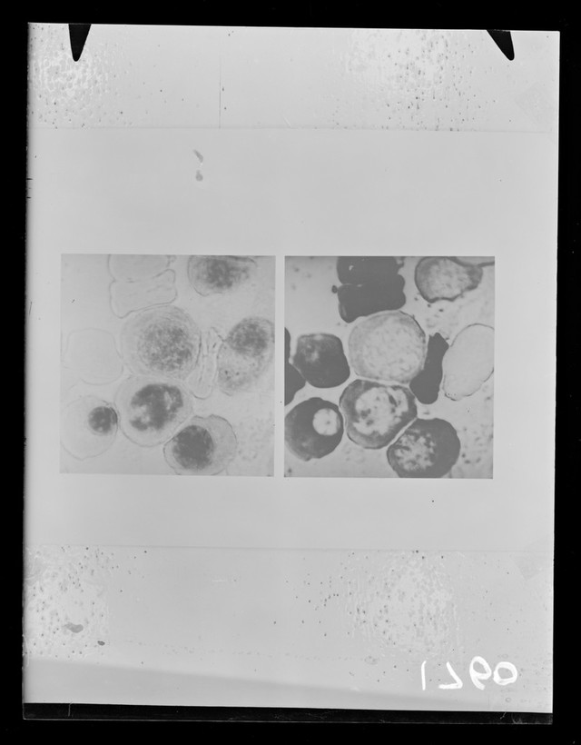 digitised image 1