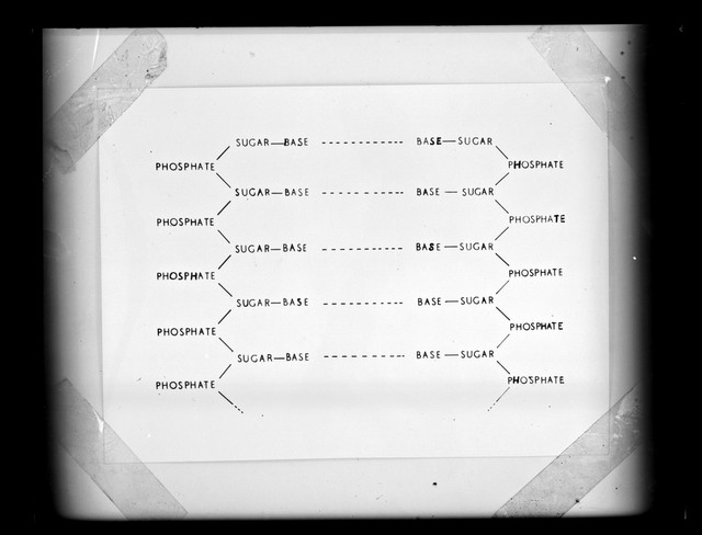 digitised image 1