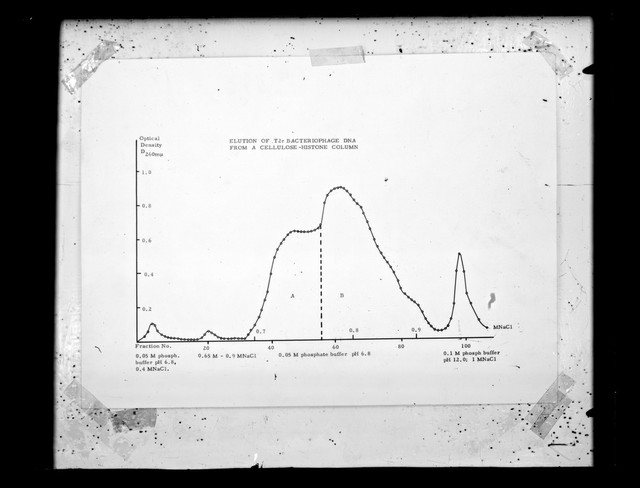digitised image 1