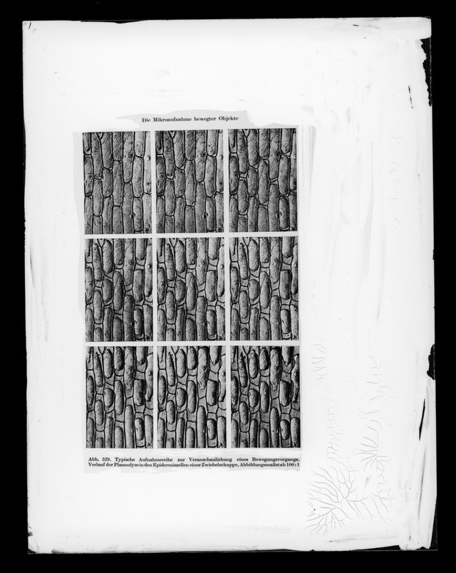 digitised image 1