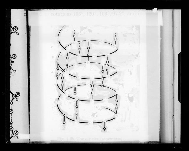 digitised image 1