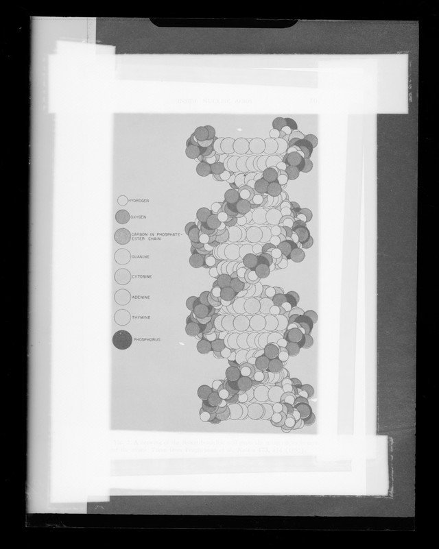 digitised image 1