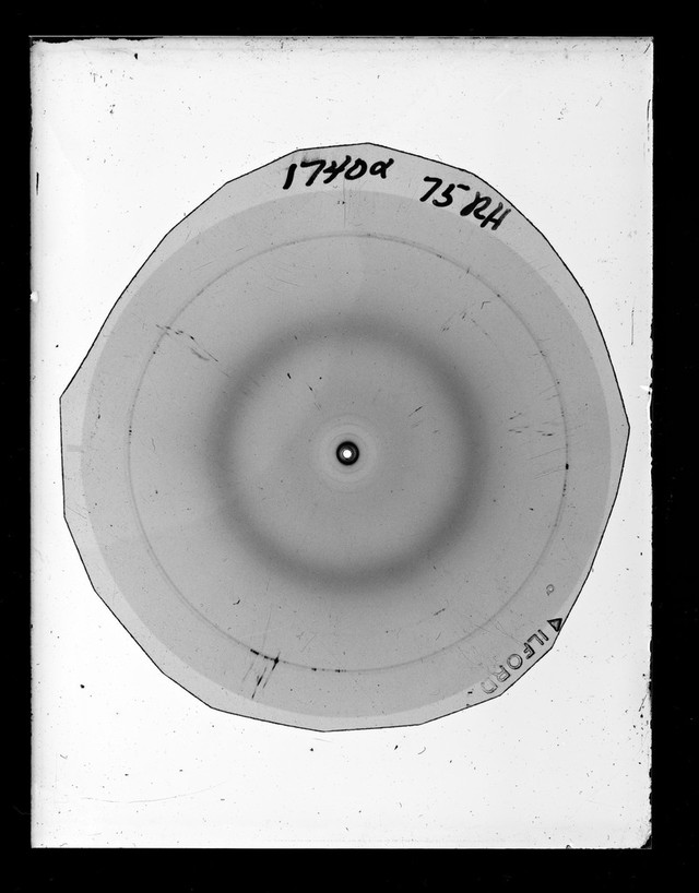 digitised image 1